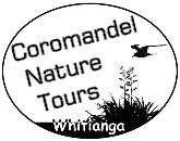 Coromandel Nature Tours NZ