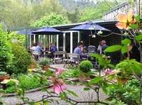 click here for more information Colenso Cafe :: click here for more information