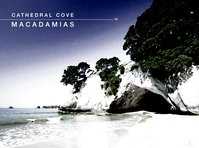click here for more information Cathedral Cove Macadamias Orchard Tour :: click here for more information