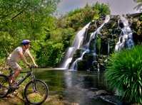 click here for more information Hauraki Rail Trail :: click here for more information