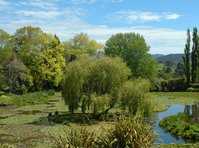 click here for more information Waihi Waterlily Gardens Luxury Cottage Accommodation :: click here for more information