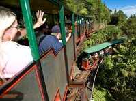 click here for more information Driving Creek Railway and Potteries :: click here for more information