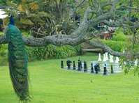 click here for more information Waihi Waterlily Gardens :: click here for more information