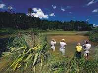 click here for more information Opoutere Beach :: click here for more information
