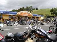 click here for more information Coroglen Tavern :: click here for more information