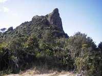 click here for more information Castle Rock Trail to Te Rerenga :: click here for more information