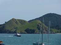 click here for more information Auckland to Coromandel Ferry :: click here for more information