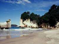 click here for more information Pedaltours Coromandel Peninsula Cycle Tour :: click here for more information