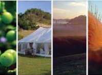 click here for more information Mercury Bay Estate Ltd :: click here for more information