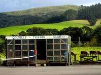 click here for more information Colville Tennis Club :: click here for more information