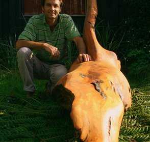 KAURI SCULPTURE kauri art ka