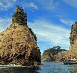 cathedral cove boat cruise