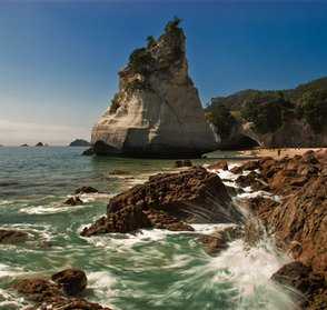 Walking Coromandel