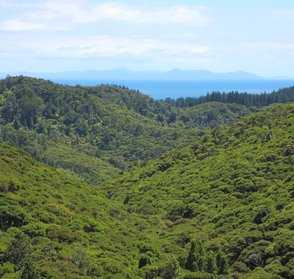 View to Great Barrier