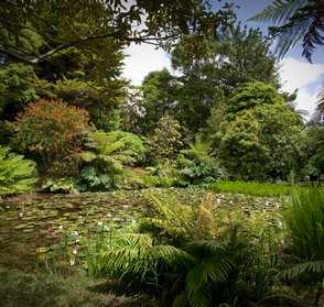 Chess piece pond