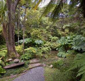 Tea garden pond