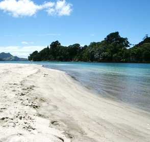 Buffalo Beach Whitianga