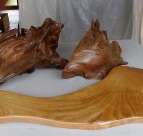 Kauri Fish and Sealtwin