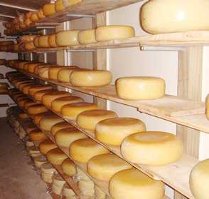 The Gouda Room