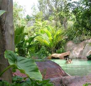 The Lost Spring