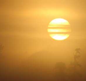 Sunrise at the Gardens