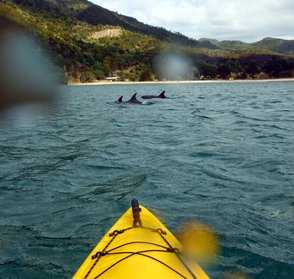 Kennedy Bay Coromandel.