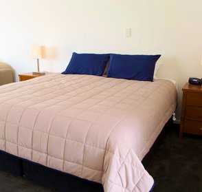 New Beds