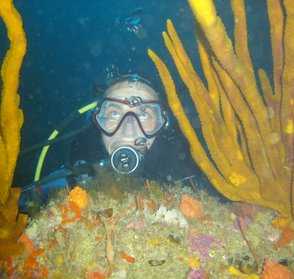 Beautiful marine environment