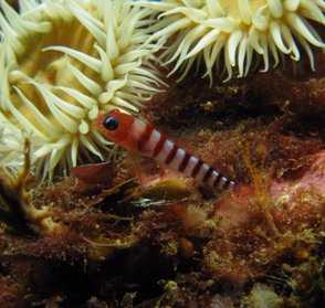 Beautiful marine environment
