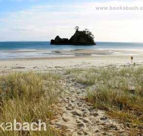 Coromandel rental