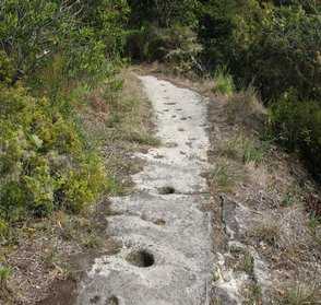Whitianga Rock Walk