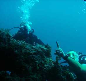 Our Dive Boat Scubadoo