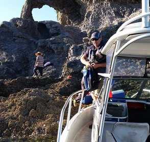 Rock Hopper Taxi
