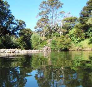Te Mata Creek border the lodge