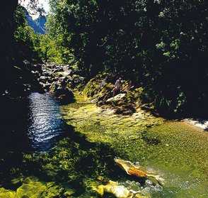 Puketui Valley