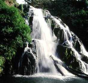 Waitawheta Falls