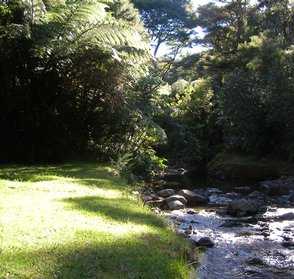 Tangiaro Stream