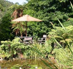 The Pond
