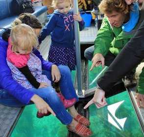 Glass Bottom Viewing