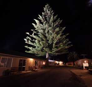 Holiday Park Night Lights