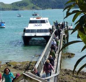 Coromandel Discovery