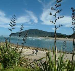 Tairua