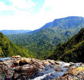 Sleeping Gods Canyon, The Coromandel