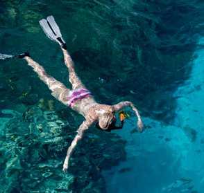 Marine Reserve Snorkelling