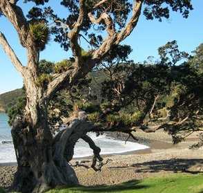 West Coast Road