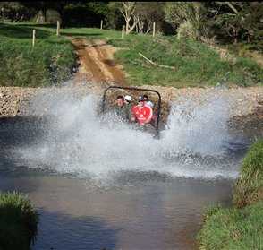 Combat Zone Whitianga
