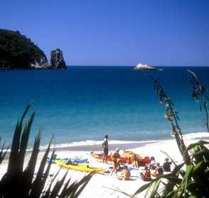 Hahei Beach - Lunchtime