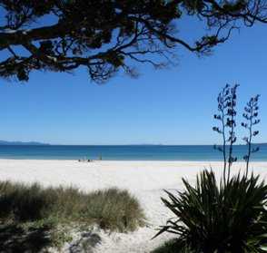 Otama Beach Coromandel