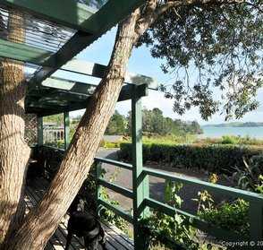 View from Pohutukawa Cottage