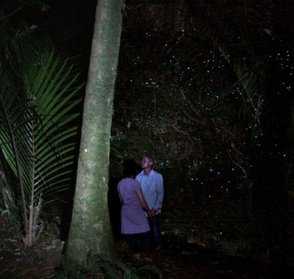 glowworms BPL
